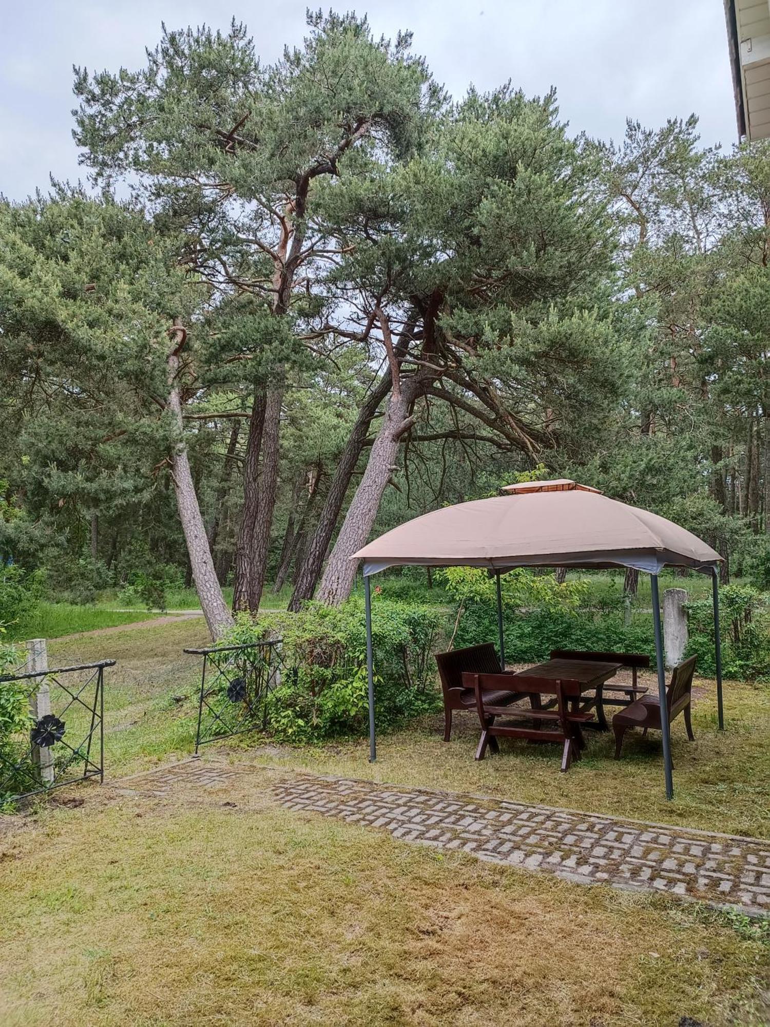 Surf Apartments In Melnrage Klaipeda Room photo